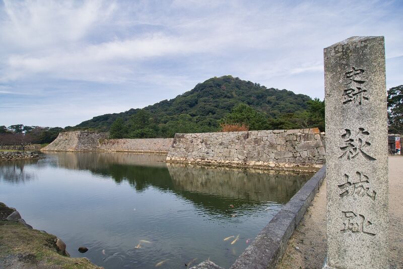 File:Hagi2.jpg