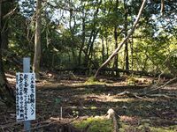 Higashigoma21.jpg