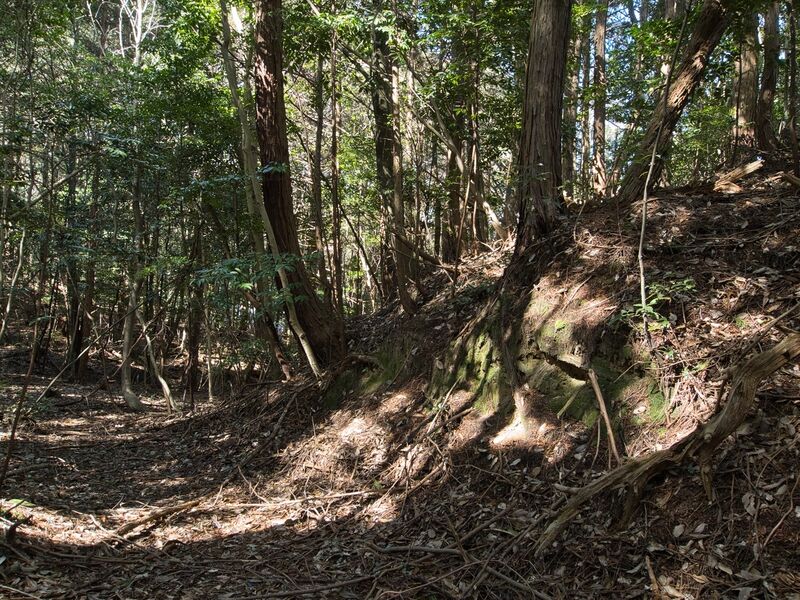 File:Higashimaruokakoka6.jpg