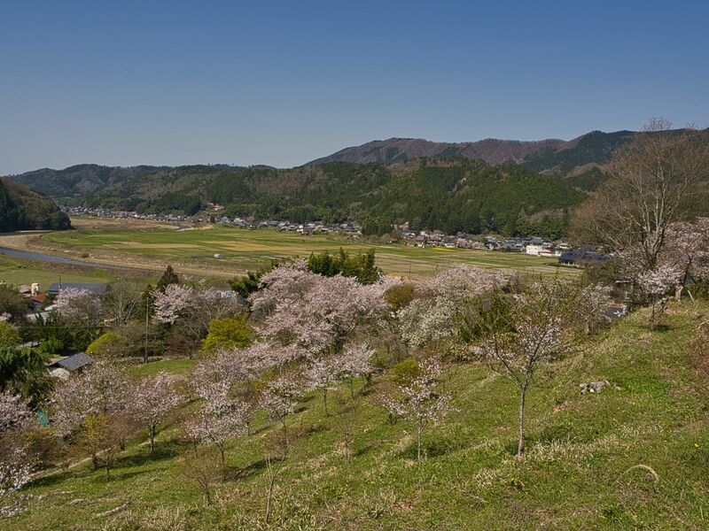 File:Kanbayashi33.jpg