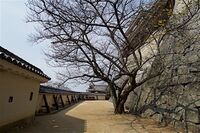 Matsuyama43.jpg