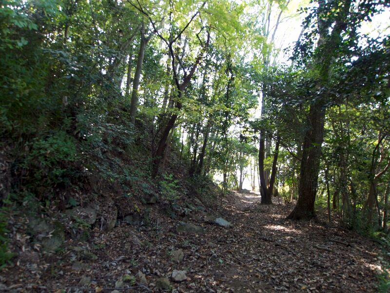 File:Niitakayama58.jpg