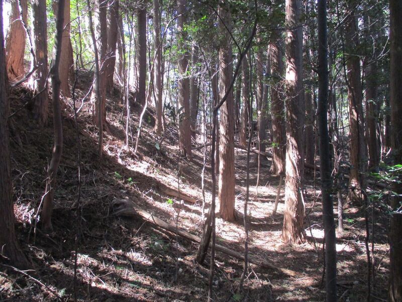 File:NukataChausuyamajou (30).jpg