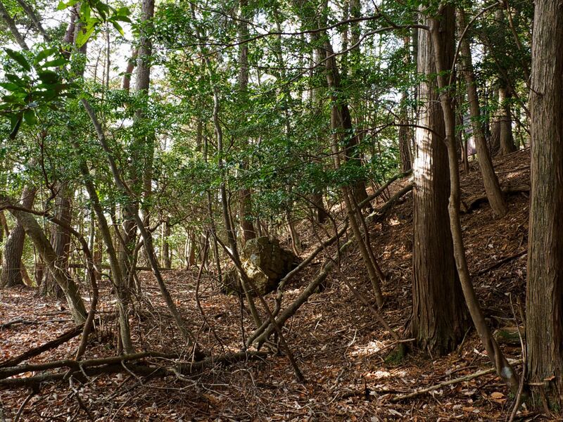 File:Shizuharanorth26.jpg