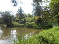 SomaNakamura (18).JPG