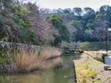 Hikone77.jpg