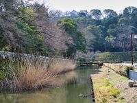 Hikone77.jpg