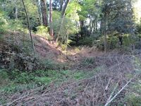 Kawawada (2).JPG