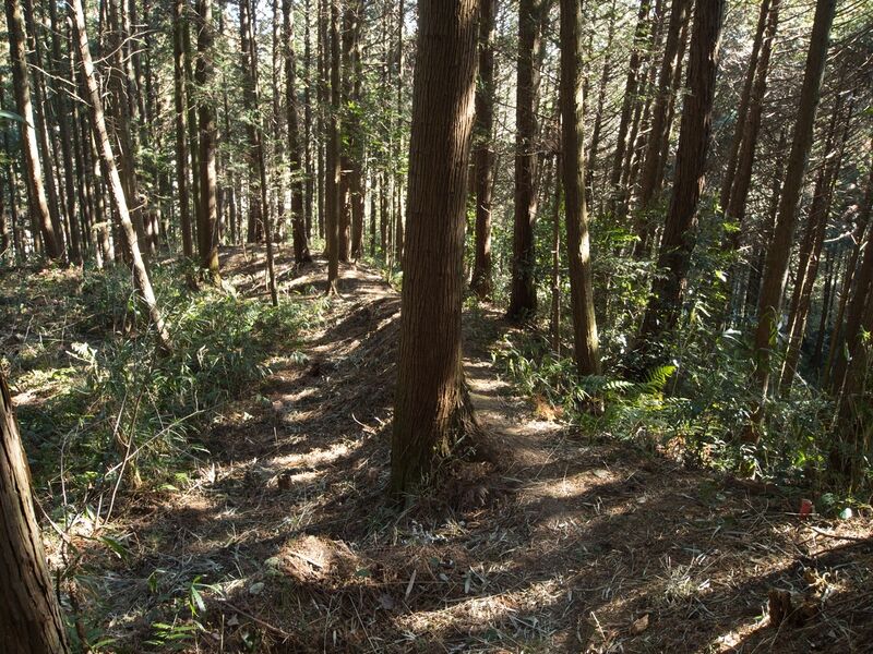 File:Kokashingu31.jpg