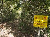 Matsugasakikyoto5.jpg