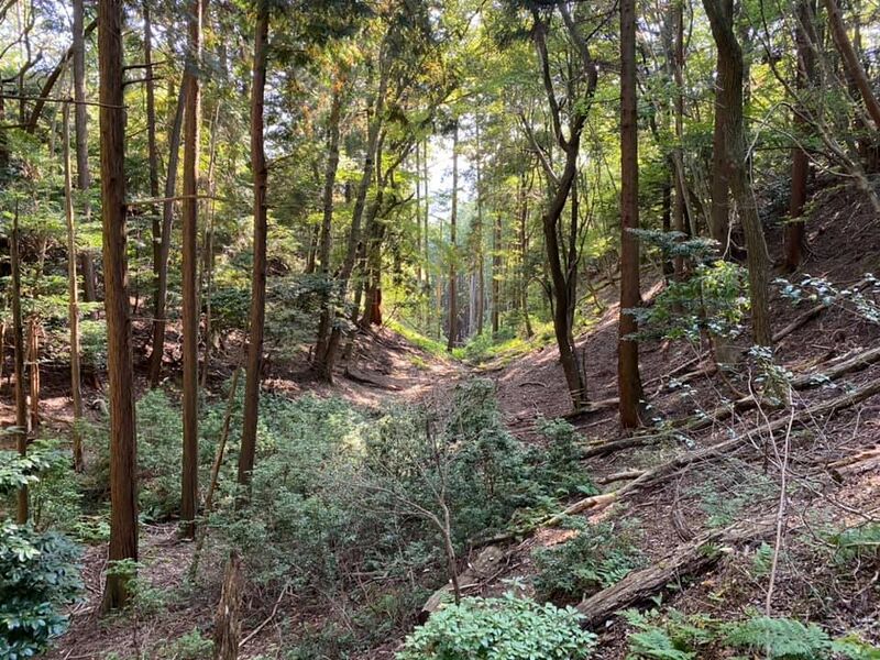 File:MinoMatsuojouChris (6).jpg