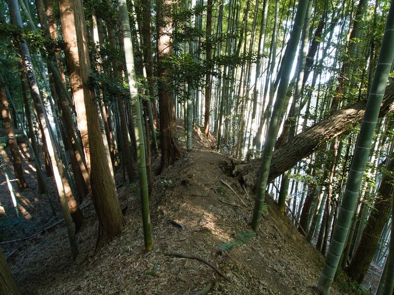 File:Mochizukikoka16.jpg