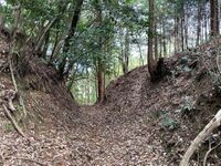 MomochiTambajouCG (2).jpg