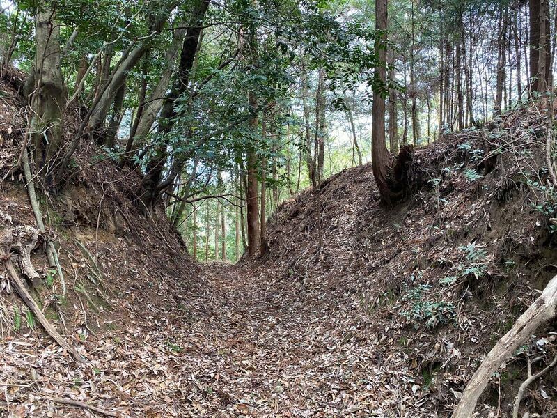 File:MomochiTambajouCG (2).jpg