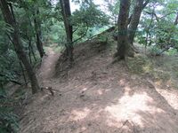 NakayamaniyamaToride01.JPG