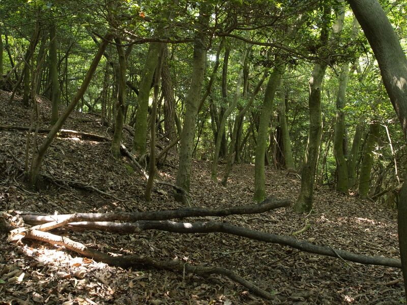File:Nyoigatake40.jpg