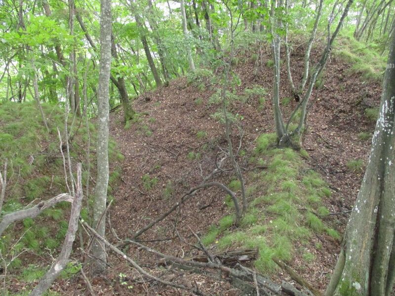 File:Raidenjou (1).jpg