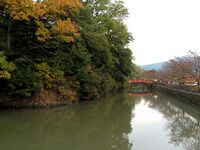 Tsutsuji1.jpg