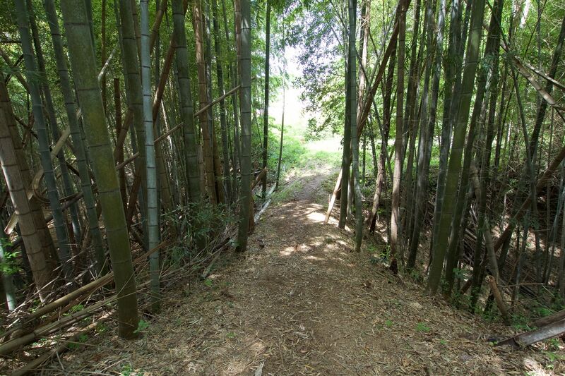 File:Ushiku19.jpg