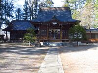 Habajou (2).JPG