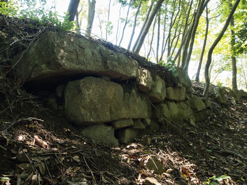 File:Hoshigasaki10.jpg