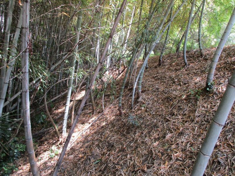File:IwazuInojou (4).jpg