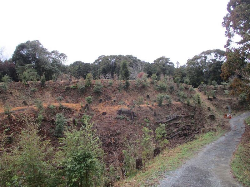 File:Katsumatajou (4).jpg