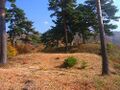 Thumbnail for version as of 13:27, 24 June 2017