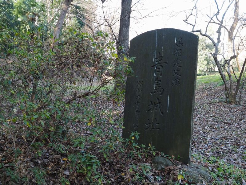 File:Odori5.jpg