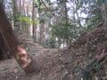 Thumbnail for version as of 15:07, 16 May 2025