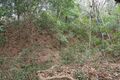 Thumbnail for version as of 08:11, 24 March 2018