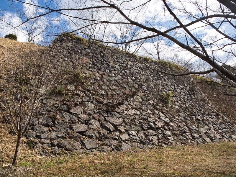 File:Tamaru2025 9.jpg