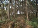Tonoyamakoka1.jpg