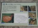 Torigoejô(ushiro ninomaru2).JPG