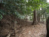 Tsubokasayama13.jpg