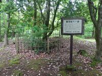 Well of the castle.JPG