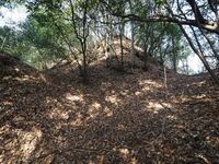 Yamana32.jpg