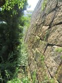 Hanakuma (15).JPG
