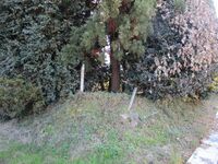 IjiriYashiki (6).JPG