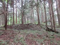 InaYokokawajou (3).JPG
