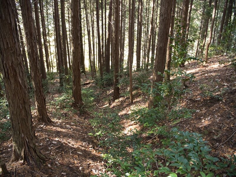 File:Inokurakyoto2.jpg