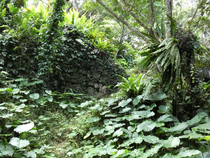 File:Kakinohana Castle Ray 8.jpg
