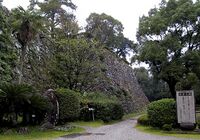 Kochi6.jpg