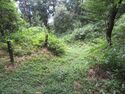 MinakuchiOkayama (12).JPG