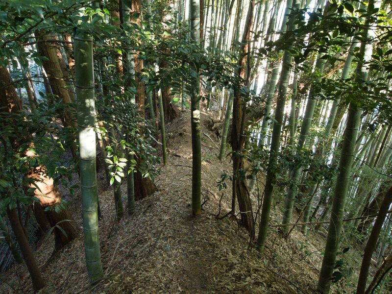 File:Mochizukikoka15.jpg