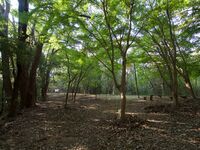 Niitakayama7.jpg
