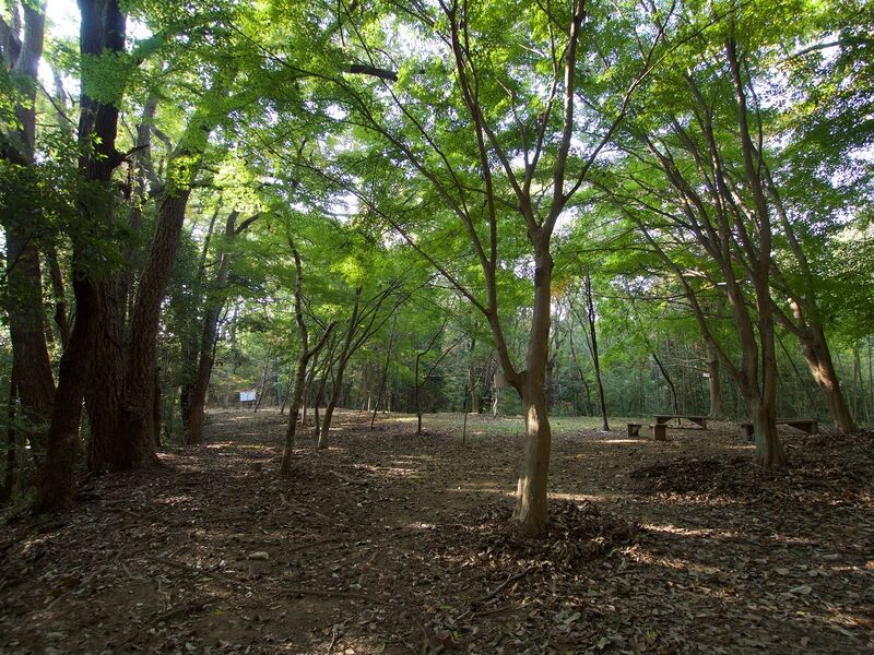 File:Niitakayama7.jpg