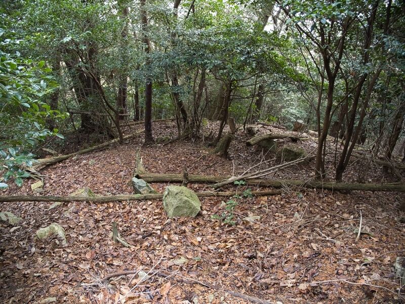 File:Tsubokasayama3.jpg