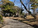 Asukayama9.jpg