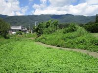 HabajouOuterRuins (2).JPG